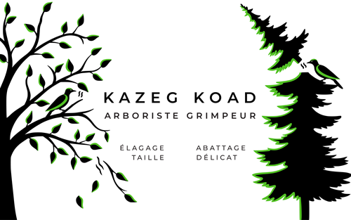 Accueil